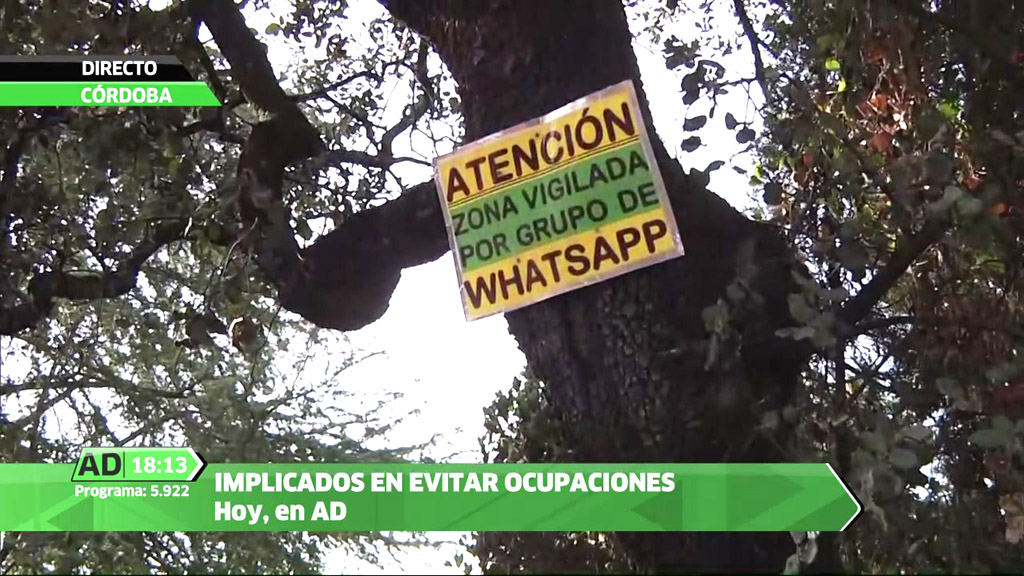 Andalucía Directo | Vecinos de Córdoba se movilizan en WhatsApp contra la  ocupación de viviendas