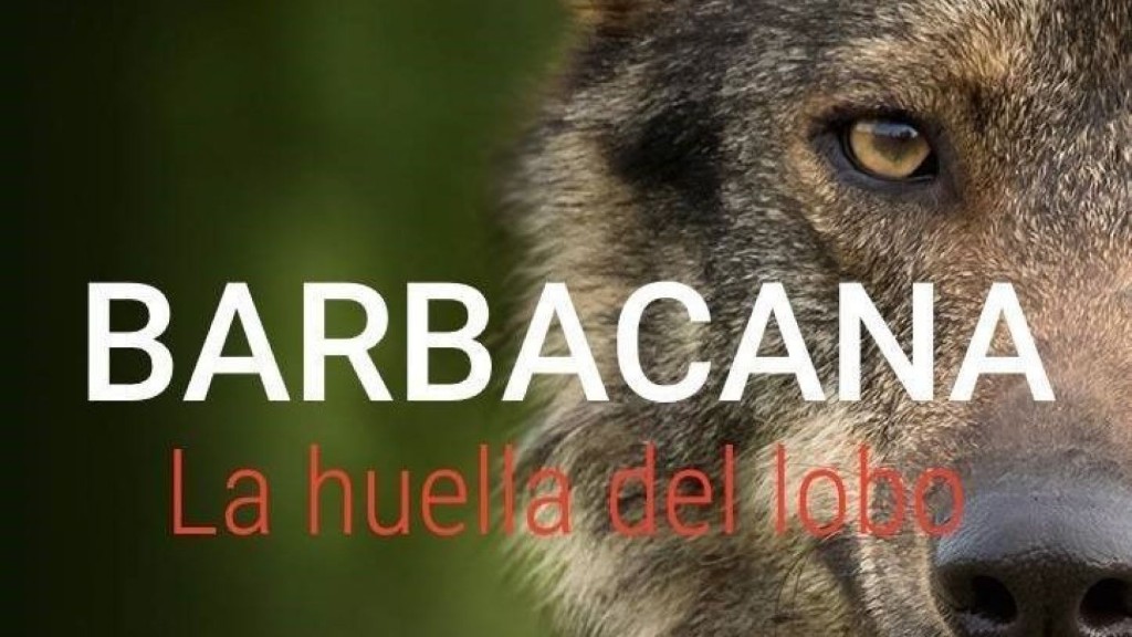 El lobo, más cerca que nunca en el documental Barbacana