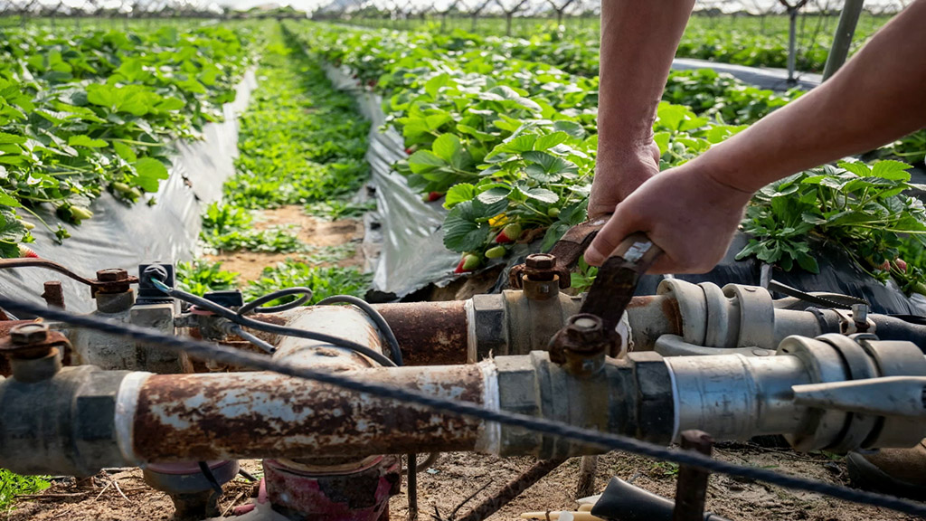 Los agricultores de Huelva usan mallas y sondas de humedad para ahorrar agua
